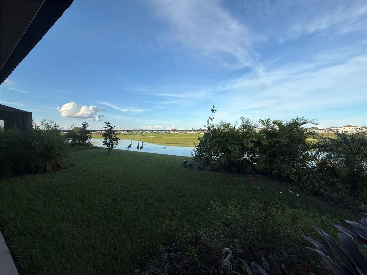 10958 Rustic Timber Loop, San Antonio, FL 33576 Photo