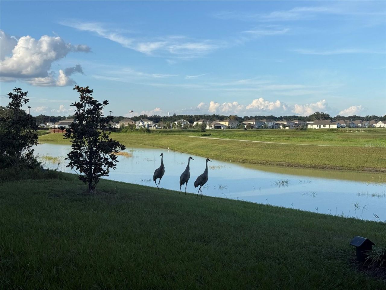 10958 Rustic Timber Loop, San Antonio, FL 33576 Photo