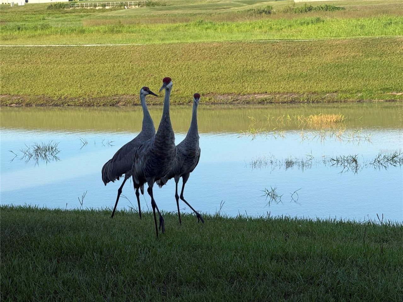 10958 Rustic Timber Loop, San Antonio, FL 33576 Photo