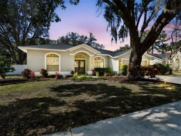 8443 RIDGEBROOK CIRCLE, ODESSA, FL 33556