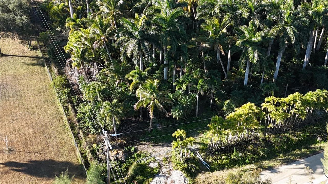 12434 Eagles Nest Drive, Bokeelia, FL 33922 Photo