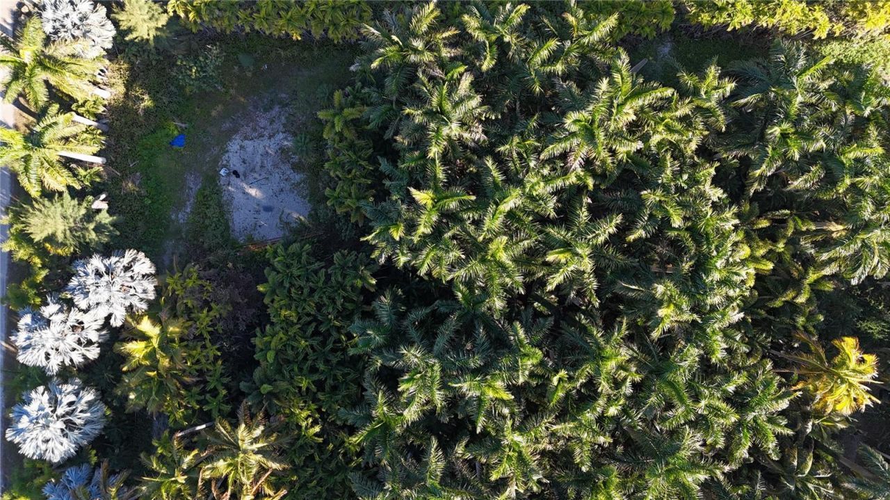 12434 Eagles Nest Drive, Bokeelia, FL 33922 Photo