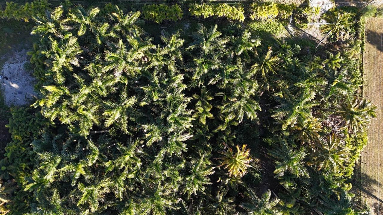 12434 Eagles Nest Drive, Bokeelia, FL 33922 Photo