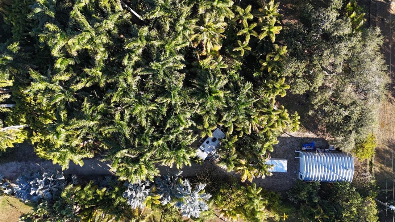 12434 Eagles Nest Drive, Bokeelia, FL 33922 Photo