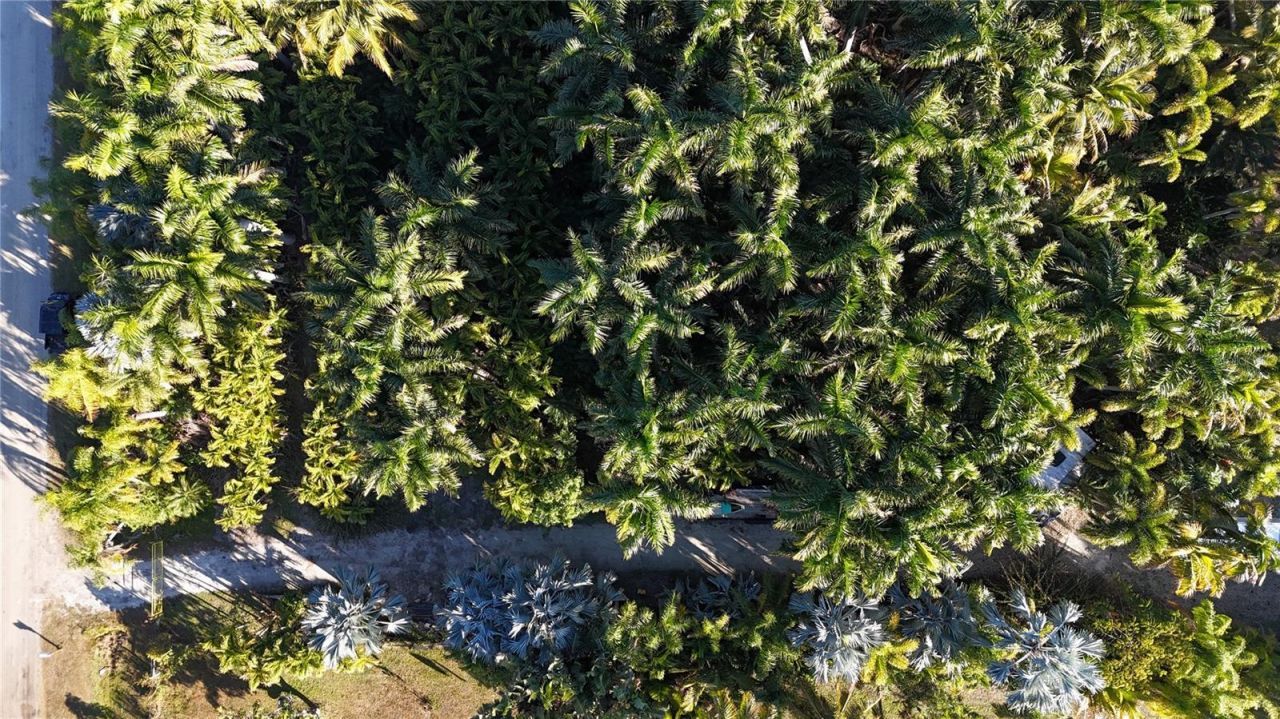 12434 Eagles Nest Drive, Bokeelia, FL 33922 Photo