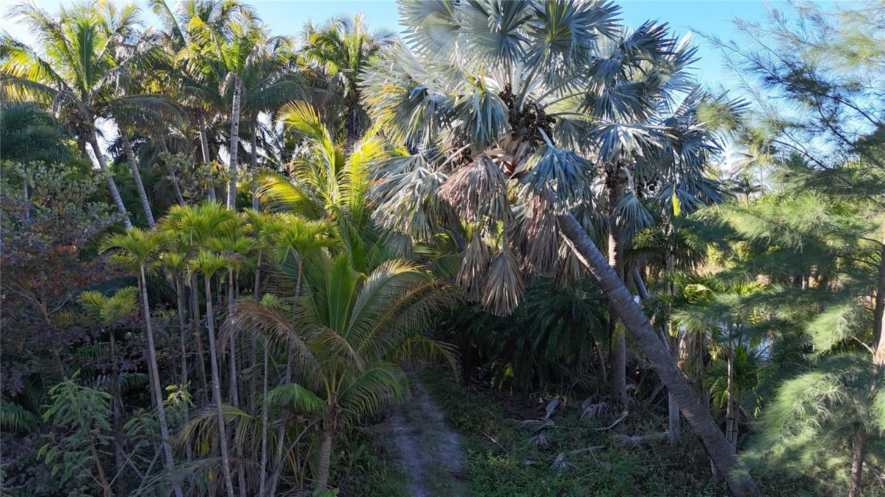 12434 Eagles Nest Drive, Bokeelia, FL 33922 Photo