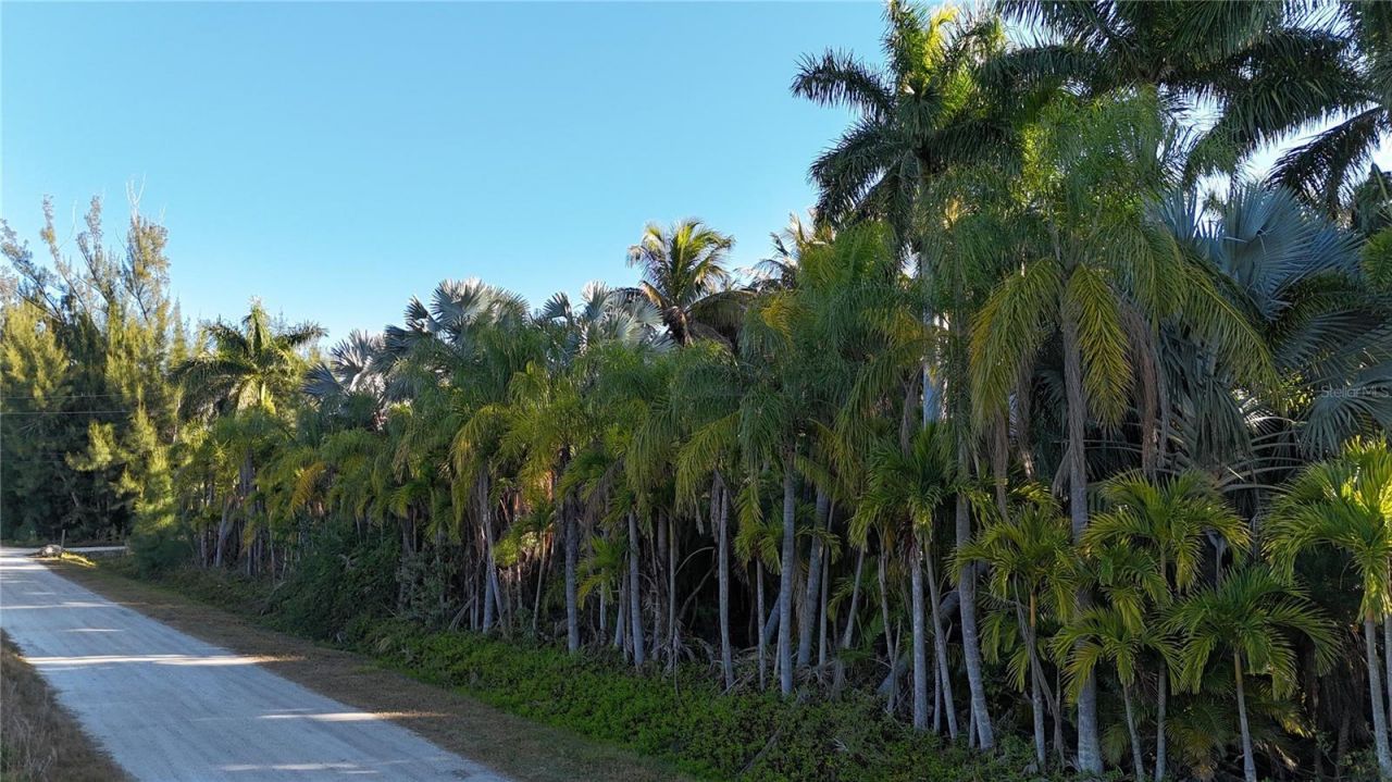 12434 Eagles Nest Drive, Bokeelia, FL 33922 Photo