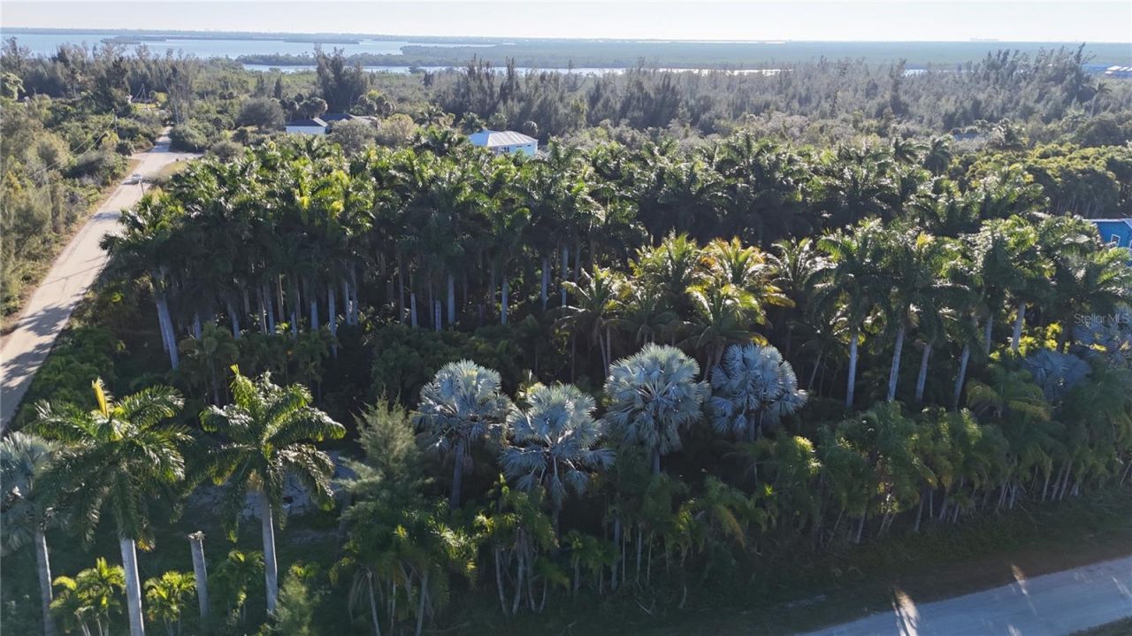 12434 Eagles Nest Drive, Bokeelia, FL 33922 Photo