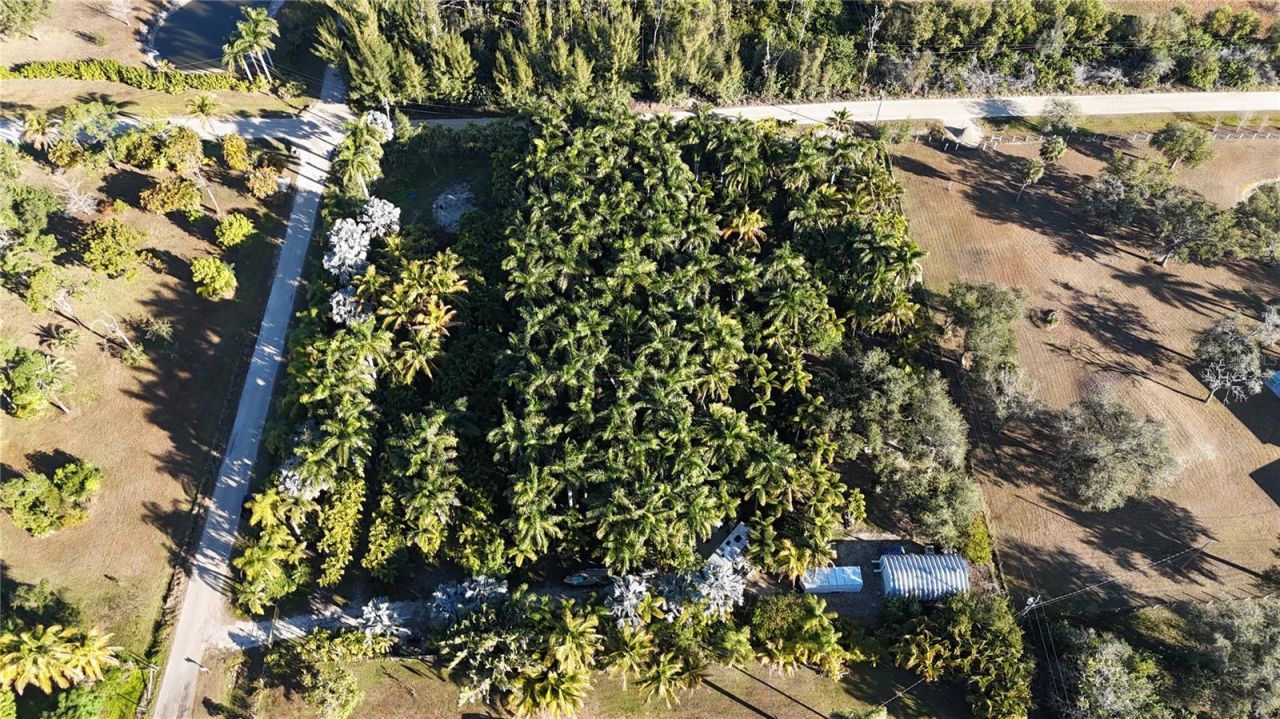 12434 Eagles Nest Drive, Bokeelia, FL 33922 Photo