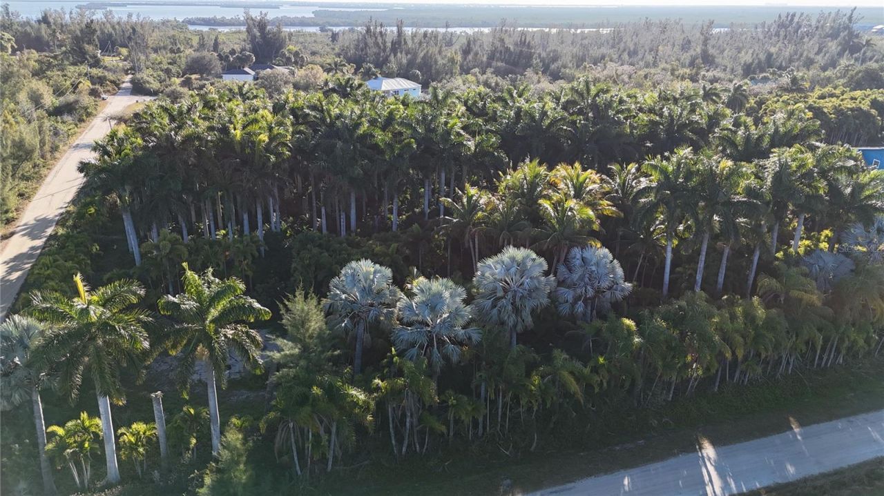 12434 Eagles Nest Drive, Bokeelia, FL 33922 Photo