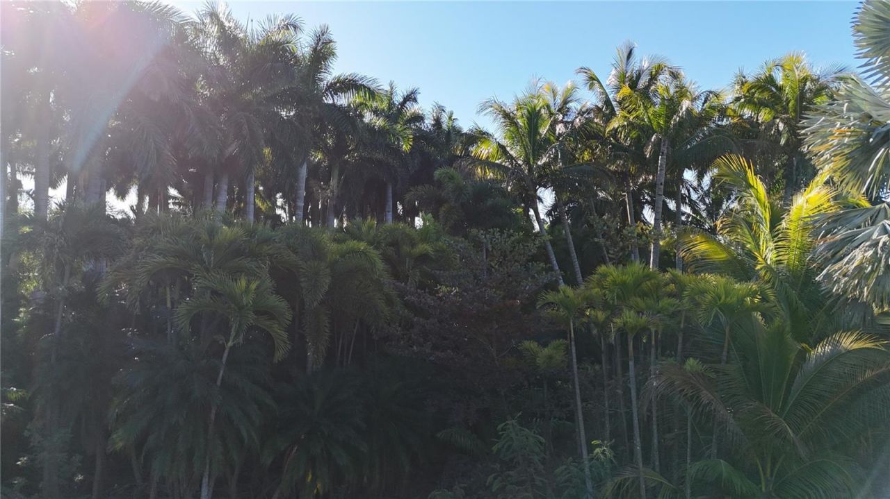 12434 Eagles Nest Drive, Bokeelia, FL 33922 Photo