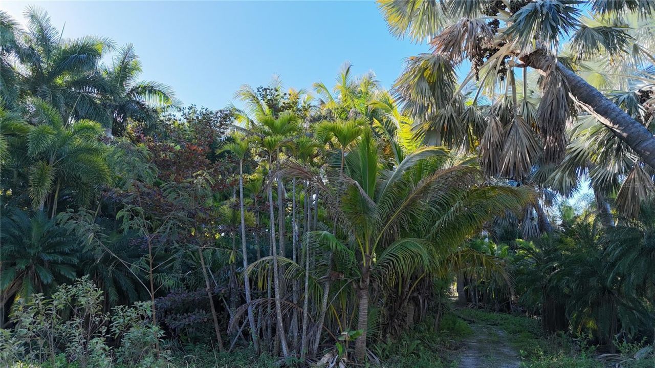 12434 Eagles Nest Drive, Bokeelia, FL 33922 Photo