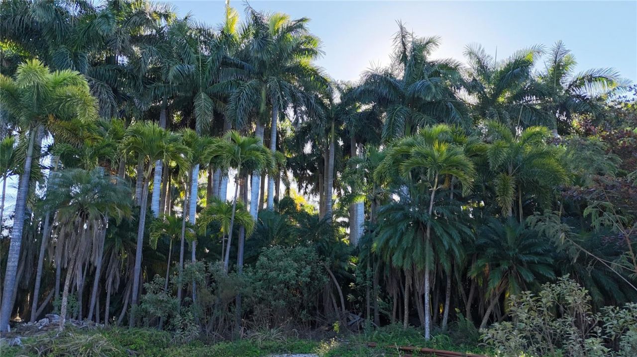 12434 Eagles Nest Drive, Bokeelia, FL 33922 Photo