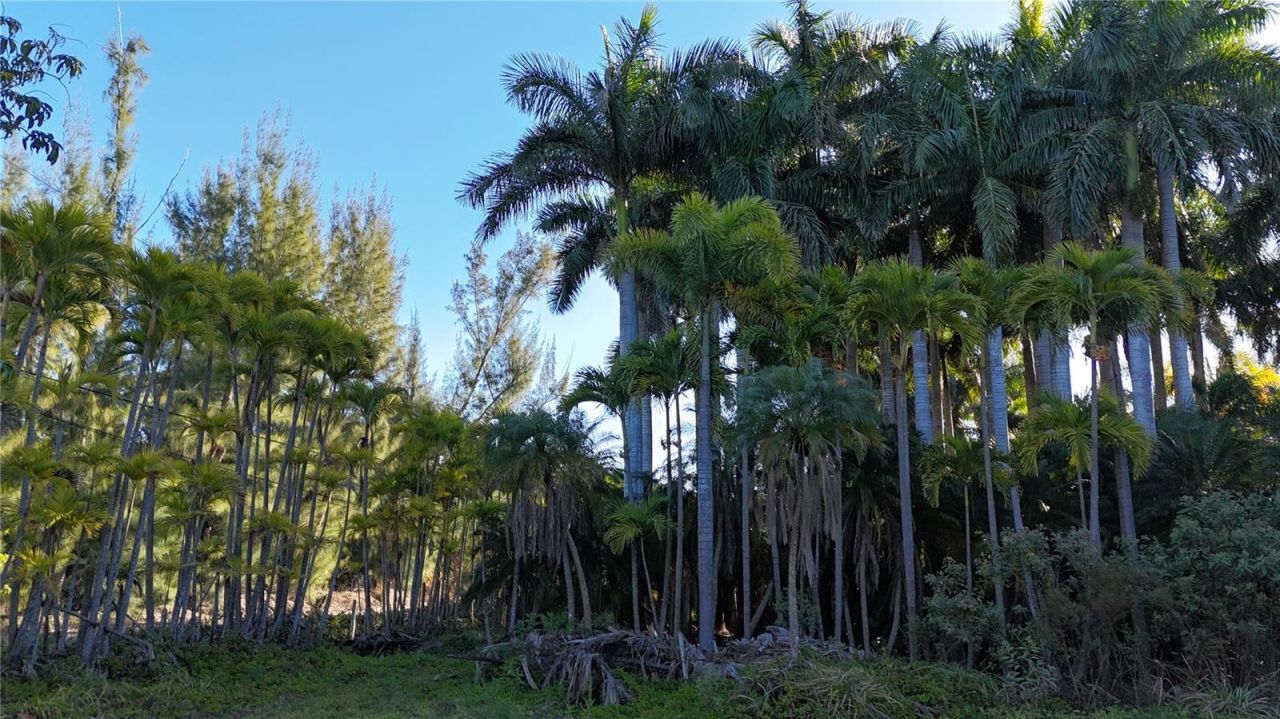 12434 Eagles Nest Drive, Bokeelia, FL 33922 Photo