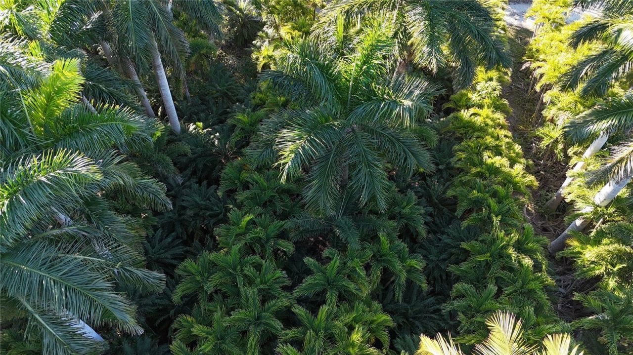 12434 Eagles Nest Drive, Bokeelia, FL 33922 Photo