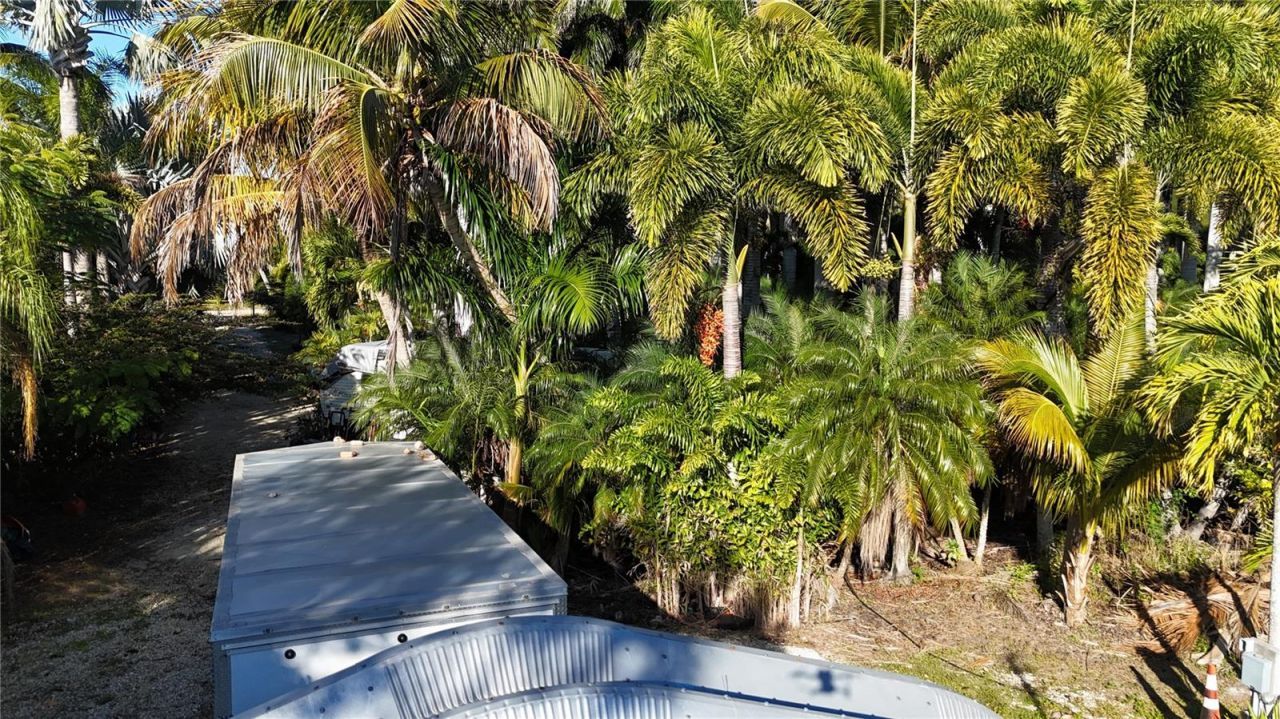 12434 Eagles Nest Drive, Bokeelia, FL 33922 Photo