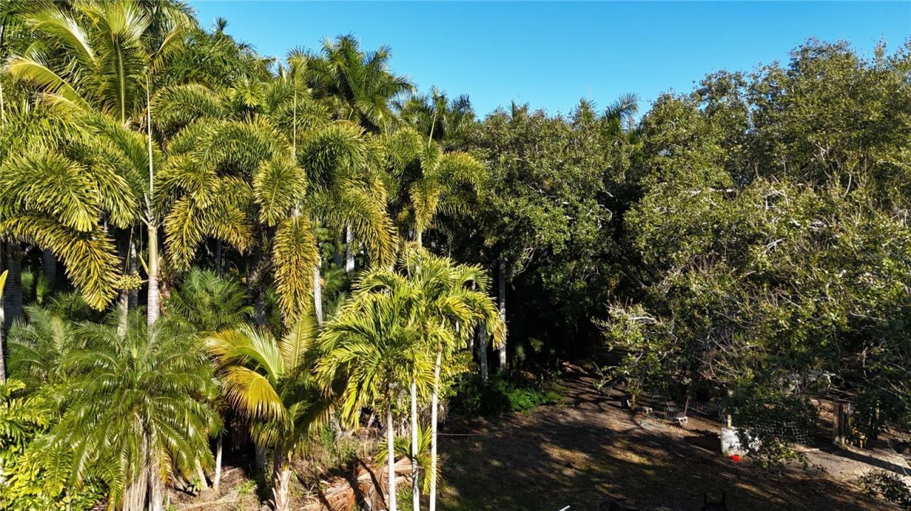 12434 Eagles Nest Drive, Bokeelia, FL 33922 Photo