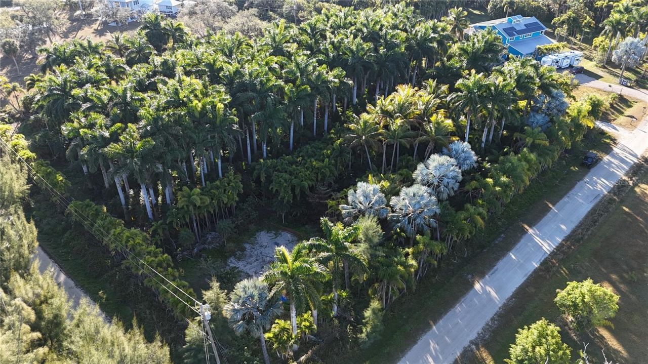 12434 Eagles Nest Drive, Bokeelia, FL 33922 Photo