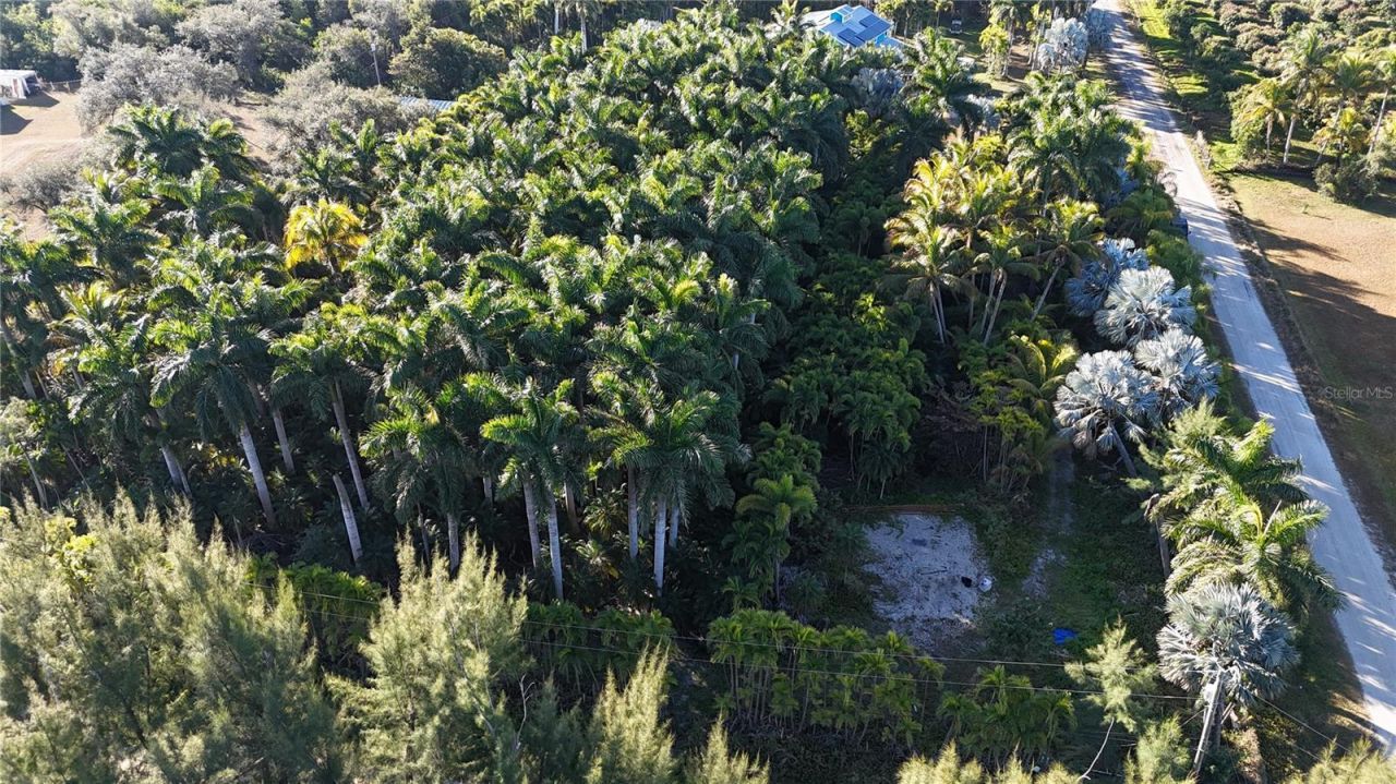 12434 Eagles Nest Drive, Bokeelia, FL 33922 Photo