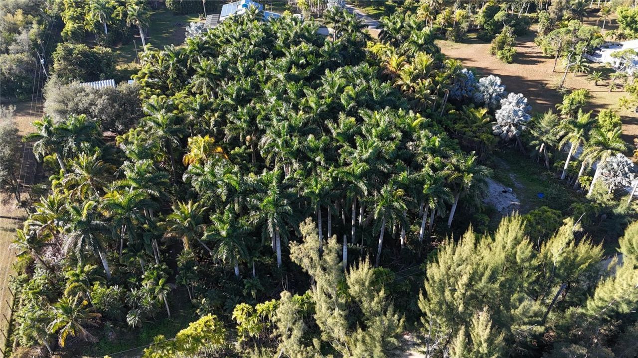 12434 Eagles Nest Drive, Bokeelia, FL 33922 Photo