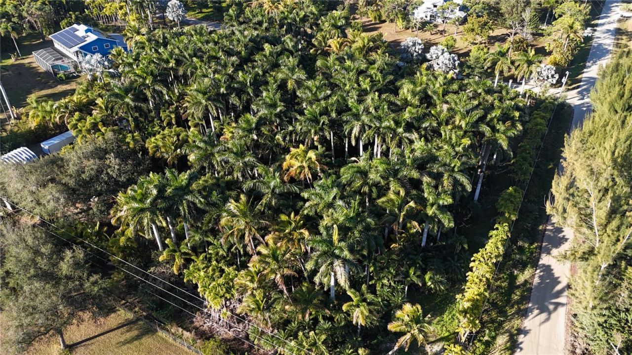 12434 Eagles Nest Drive, Bokeelia, FL 33922 Photo