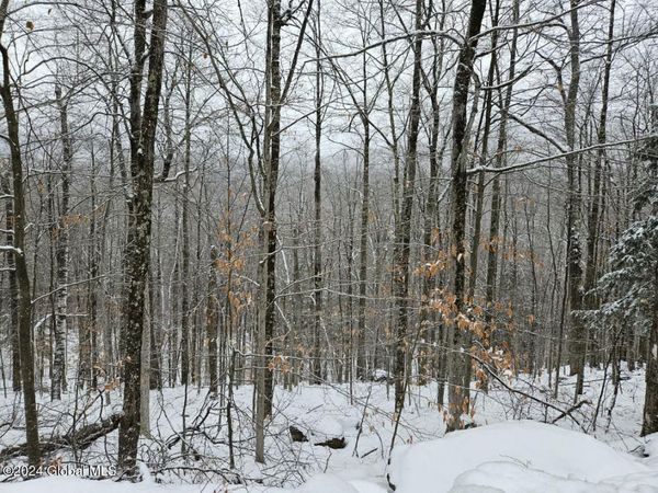 L12 Fourteenth Road, Minerva, NY 12851