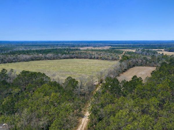 TRACT 3 Reddish Road, Odum, GA 31555