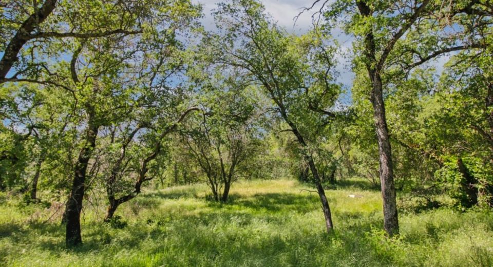 731 Janet Ct, Newcastle, CA 95658 Photo