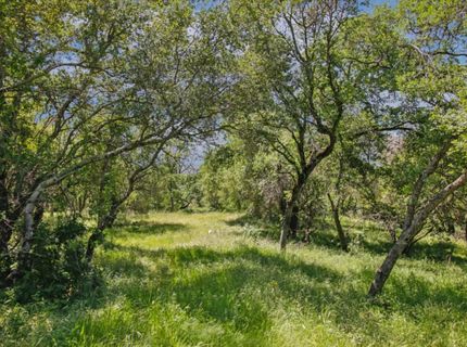 731 Janet Ct, Newcastle, CA 95658 Photo