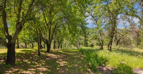 731 Janet Ct, Newcastle, CA 95658 Photo