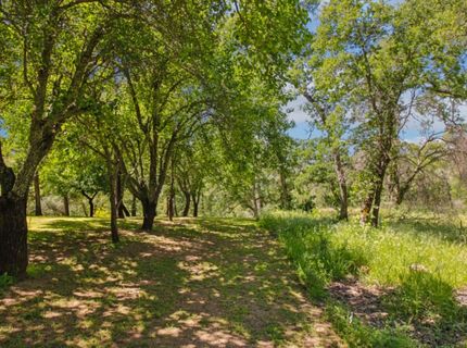 731 Janet Ct, Newcastle, CA 95658 Photo