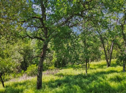 731 Janet Ct, Newcastle, CA 95658 Photo