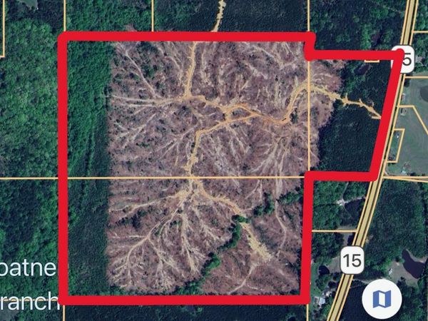 MS-15, Mathiston, MS 39752