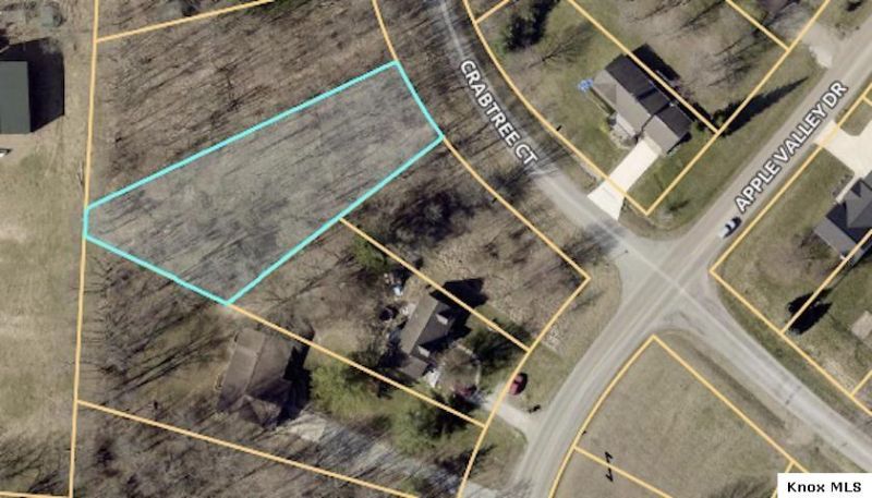 11 Crabtree Court, Howard, OH 43028 Main Photo