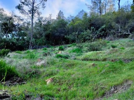 18175 Piper Ln, Penn Valley, CA 95946 Photo
