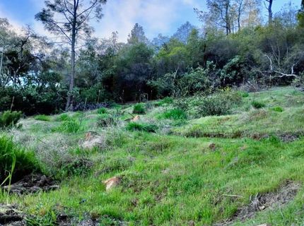 18175 Piper Ln, Penn Valley, CA 95946 Photo