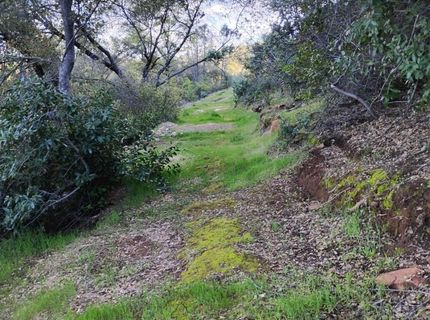 18175 Piper Ln, Penn Valley, CA 95946 Photo