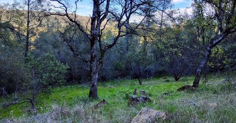 18175 Piper Ln, Penn Valley, CA 95946 Photo