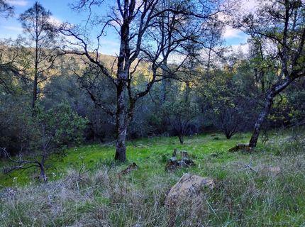 18175 Piper Ln, Penn Valley, CA 95946 Photo