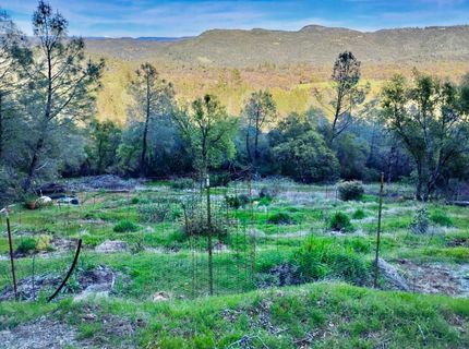 18175 Piper Ln, Penn Valley, CA 95946 Photo