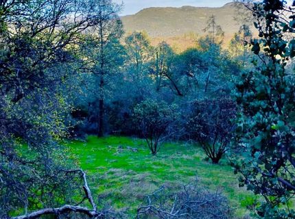 18175 Piper Ln, Penn Valley, CA 95946 Photo
