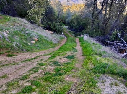 18175 Piper Ln, Penn Valley, CA 95946 Photo