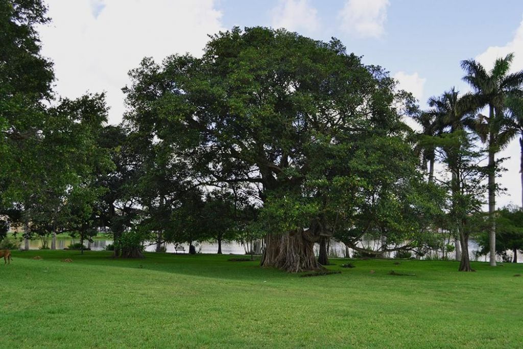 3775 SW 50th Street, Hollywood, FL 33312 Photo