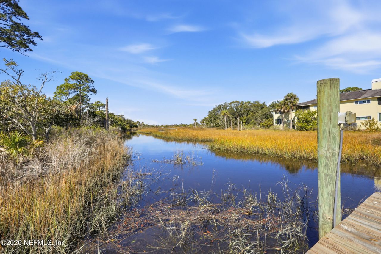 4427 Royal Tern Court, Jacksonville Beach, FL 32250 Photo