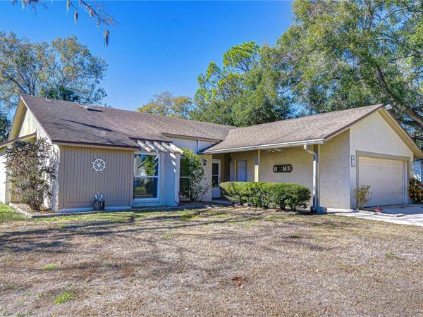 15310 LAZY LAKE PLACE, TAMPA, FL 33624