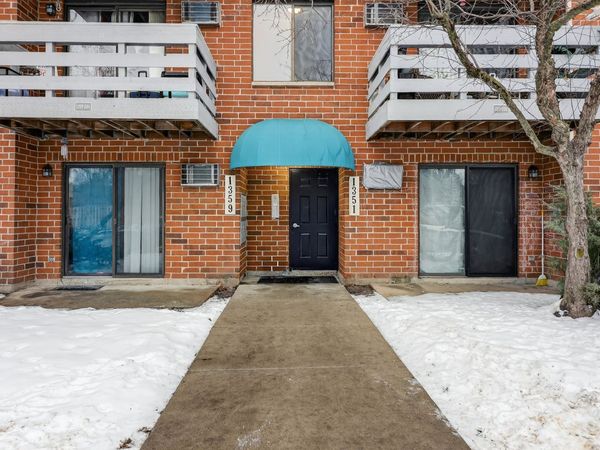 1351 N Winslowe Drive, Unit 302, Palatine, IL 60074