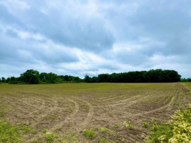 1 Dry Lane Road S, La Rue, OH 43332 Photo 2