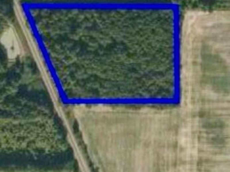 1 Dry Lane Road S, La Rue, OH 43332 Photo 4