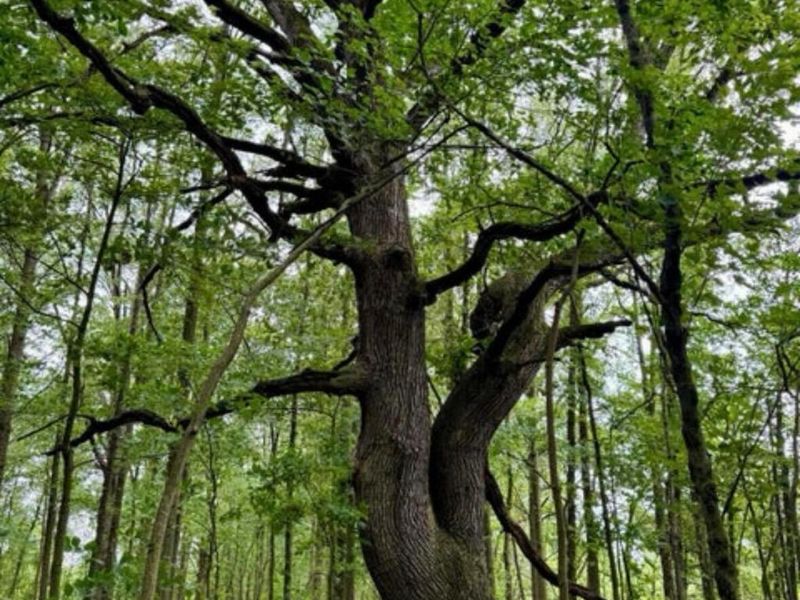 1 Dry Lane Road S, La Rue, OH 43332 Photo 6