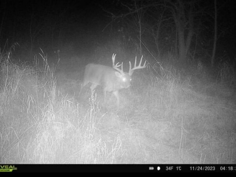 1 Dry Lane Road S, La Rue, OH 43332 Photo 8